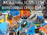 ЖК дисплей HDSM-531W 