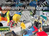 Светодиод M22N-BP-TGA-GC-P 