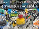 Дисплей DEM 800480K1 TMH-PW-N 