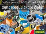 Стабилизатор OSK5DKA131A-CRLED14 