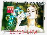 Модуль дисплея ELI121-CRW 