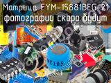 Матрица FYM-15881BEG-21 