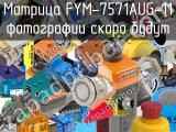 Матрица FYM-7571AUG-11