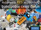 Индикатор FYT-3631BUHR-11 