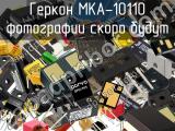 Геркон МКА-10110 