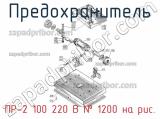 ПР-2 100 220 В