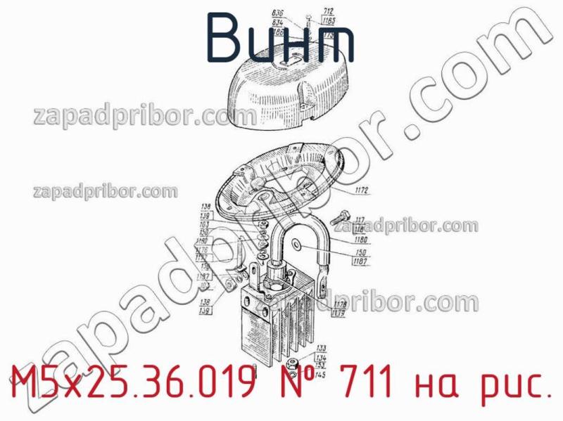Винт М5х25.36.019 фотография.