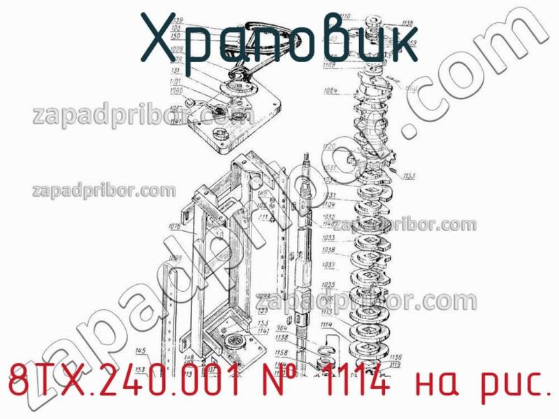 Храповик 8ТХ.240.001 фотография.