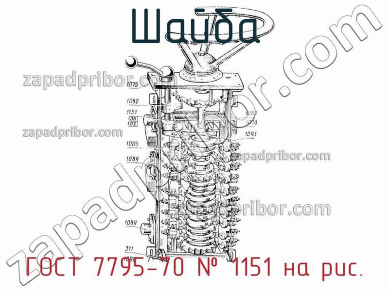 Шайба ГОСТ 7795-70 фотография.