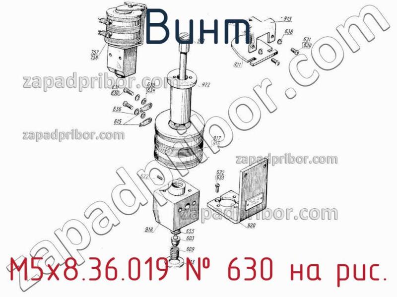 Винт М5х8.36.019 фотография.