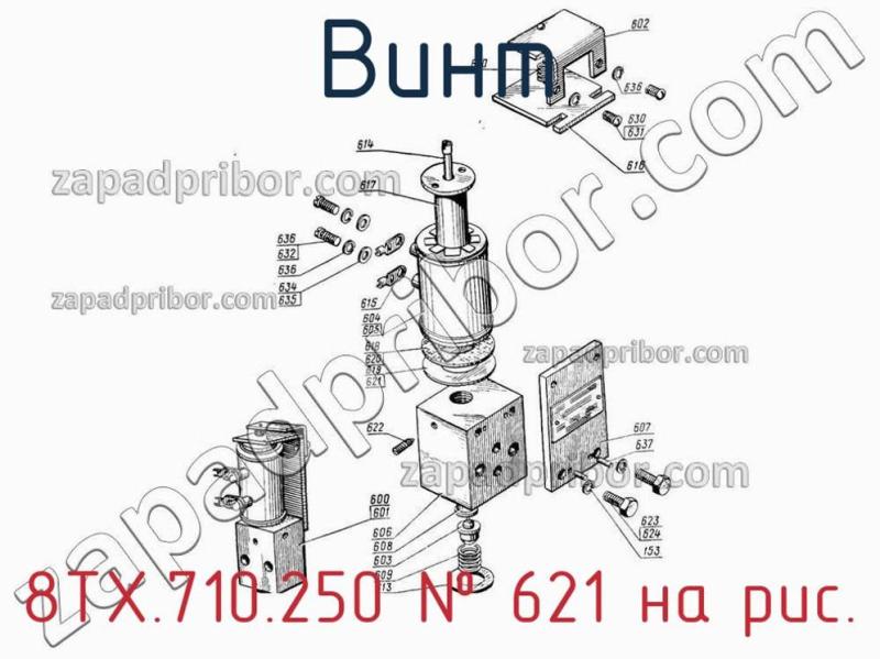 Винт 8ТХ.710.250 фотография.
