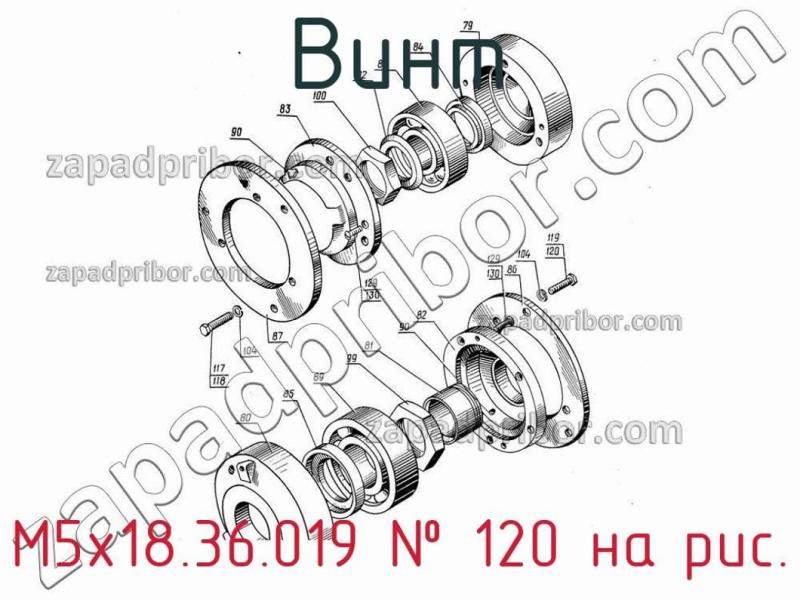 Винт М5х18.36.019 фотография.
