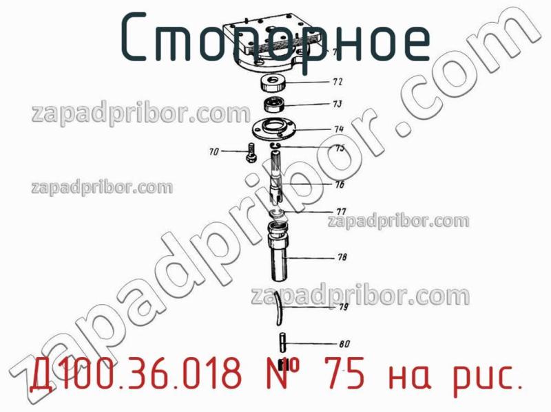 Стопорное Д100.36.018 фотография.
