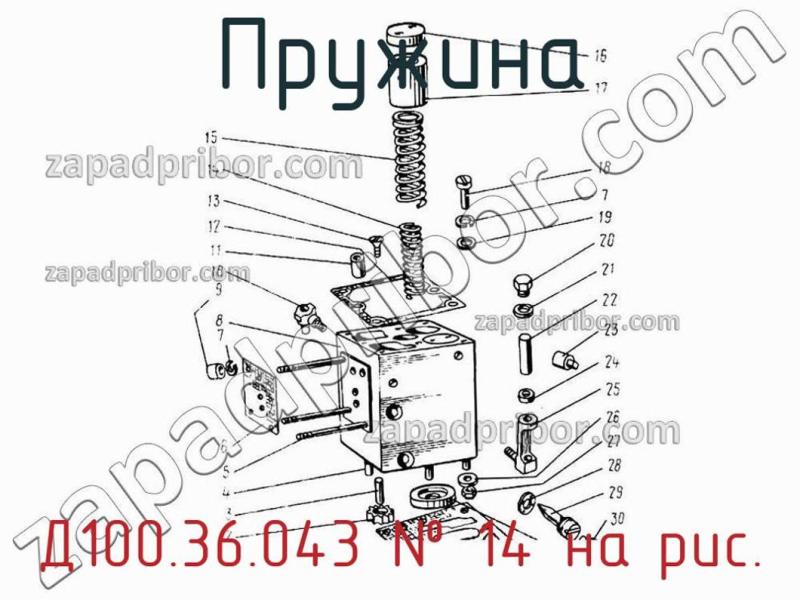 Пружина Д100.36.043 фотография.