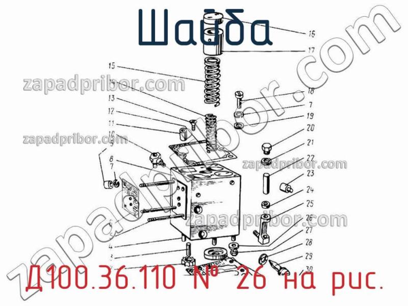 Шайба Д100.36.110 фотография.