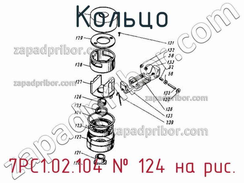 Кольцо 7РС1.02.104 фотография.