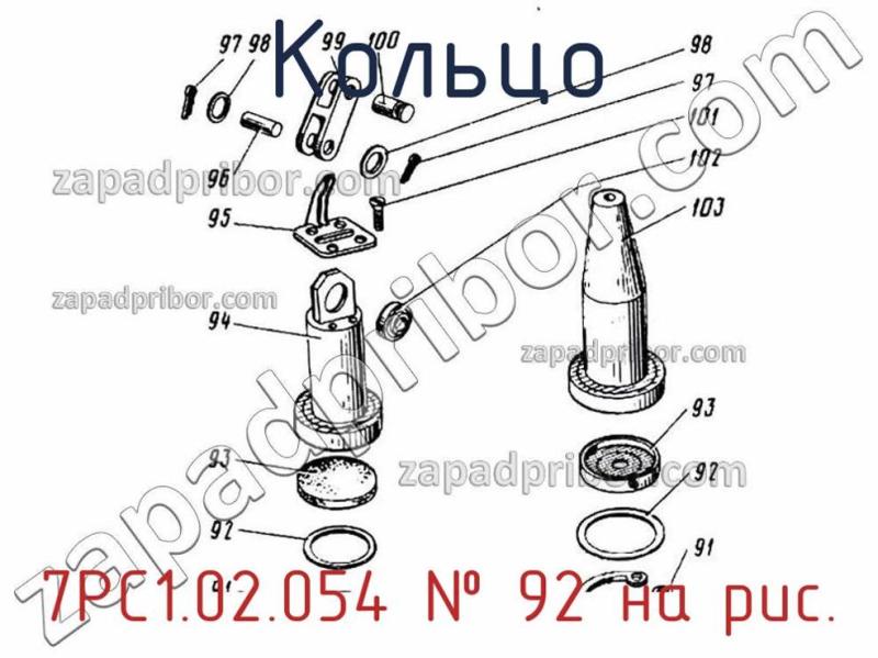 Кольцо 7РС1.02.054 фотография.