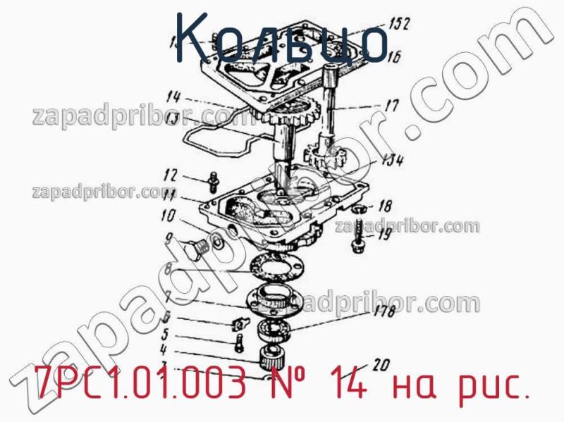 Кольцо 7РС1.01.003 фотография.