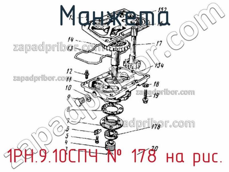 Манжета 1РН.9.10СПЧ фотография.