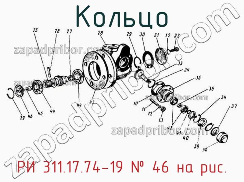 Кольцо РИ 311.17.74-19 фотография.