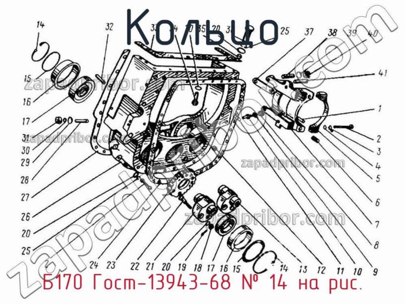 Кольцо Б170 Гост 13943-68 фотография.