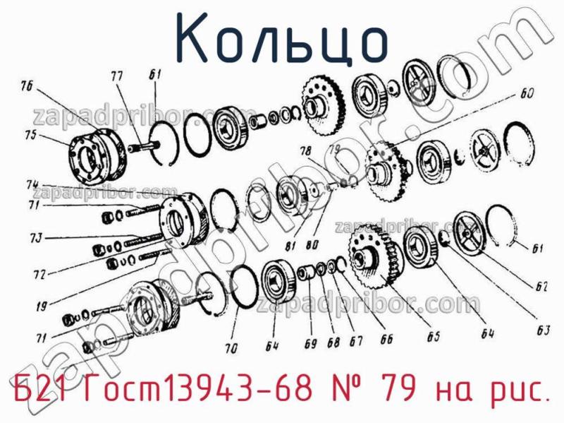 Кольцо Б21 Гост13943-68 фотография.