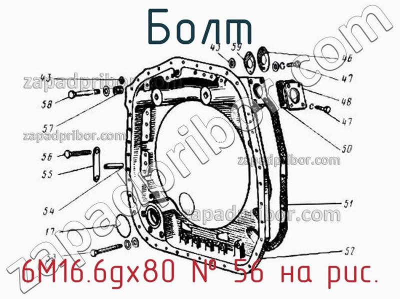 Болт 6М16.6gх80 фотография.