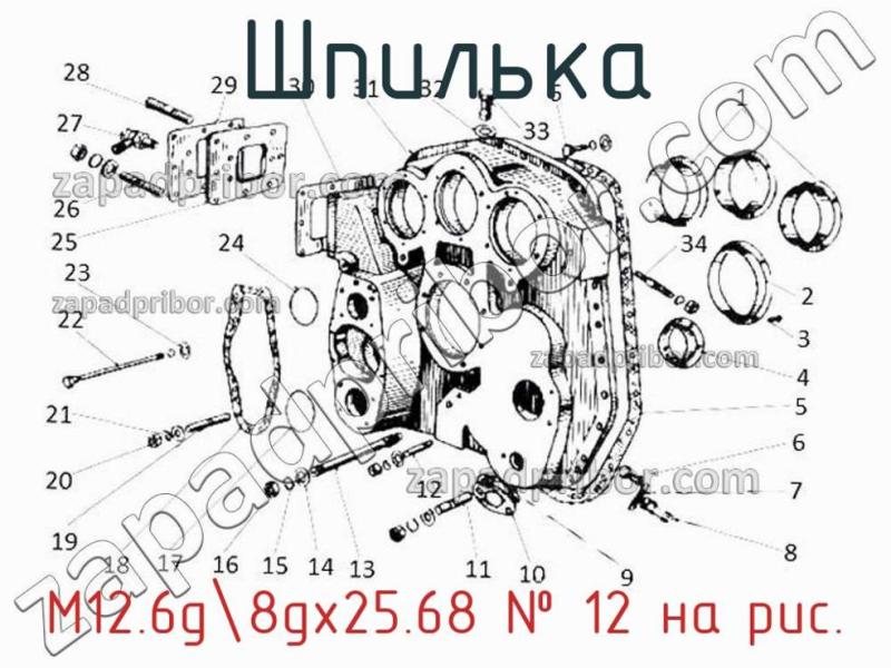 Шпилька М12.6g-8gх25.68 фотография.