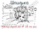 М16.6g8gх65.68