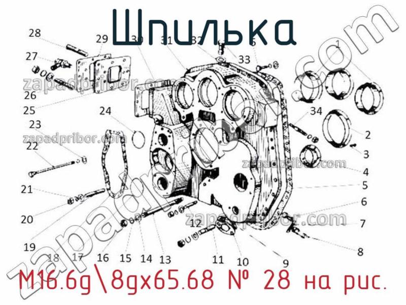 Шпилька М16.6g-8gх65.68 фотография.