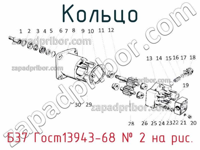 Кольцо Б37 Гост13943-68 фотография.