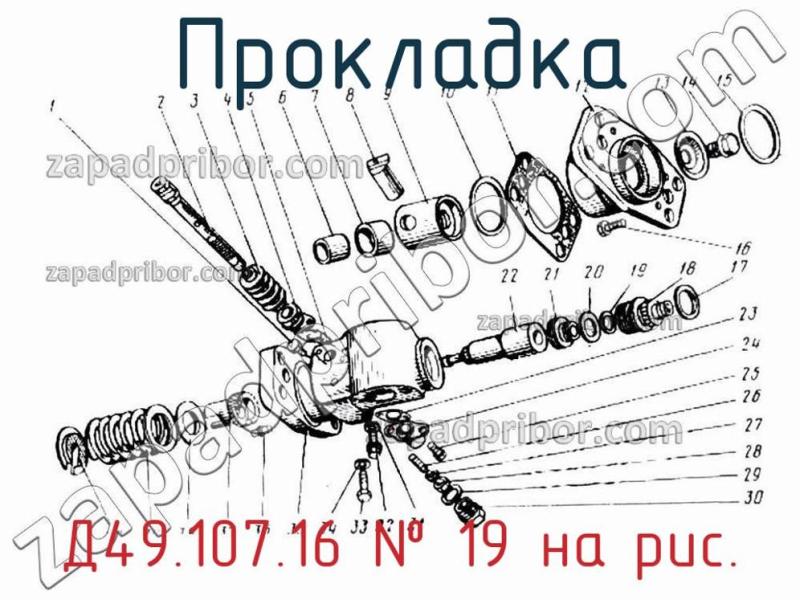 Прокладка Д49.107.16 фотография.