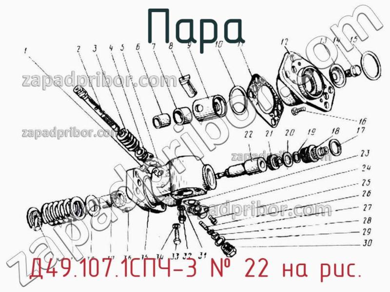 Пара Д49.107.1СПЧ-3 фотография.