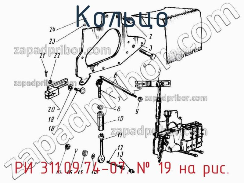 Кольцо РИ 311.09.74-07 фотография.