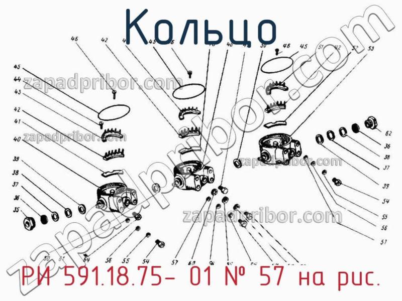 Кольцо РИ 591.18.75- 01 фотография.
