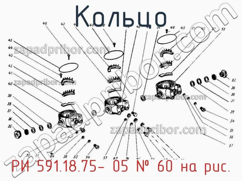 Кольцо РИ 591.18.75- 05 фотография.