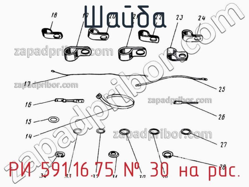 Шайба РИ 591.16.75 фотография.