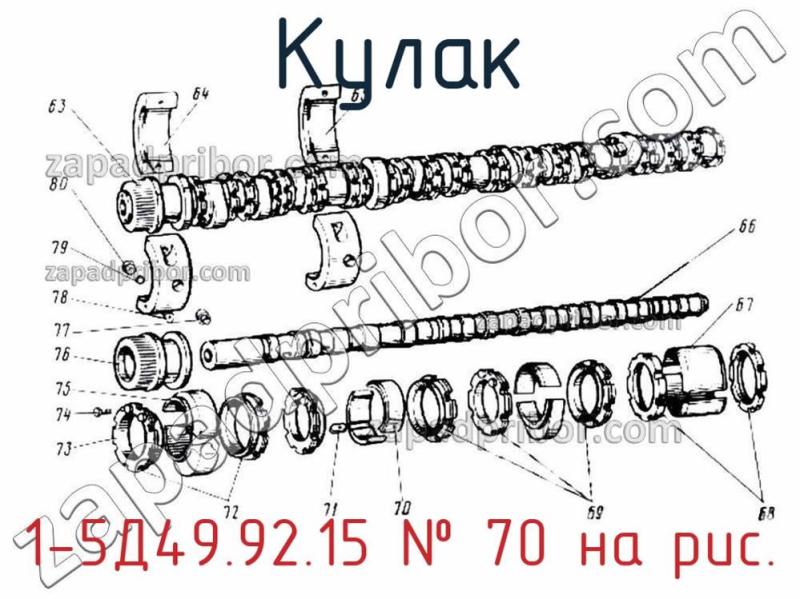Кулак 1-5Д49.92.15 фотография.