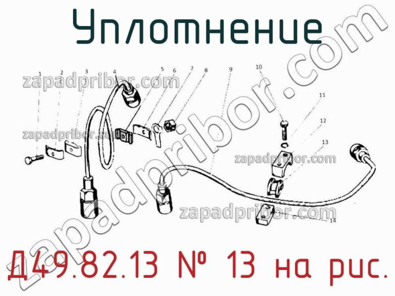Уплотнение Д49.82.13 фотография.