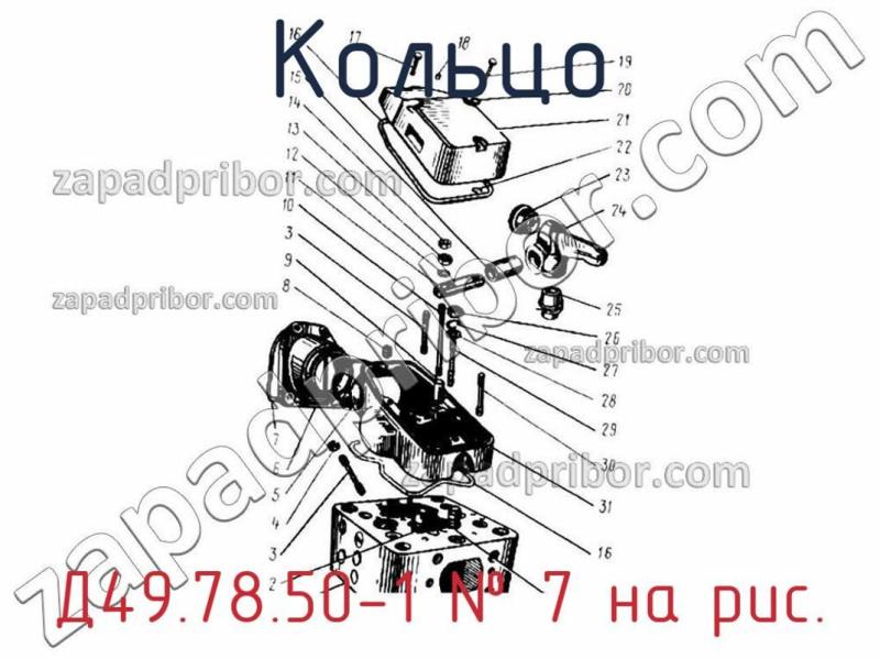 Кольцо Д49.78.50-1 фотография.