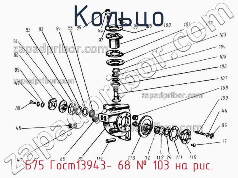 Кольцо Б75 Гост13943- 68 фотография.