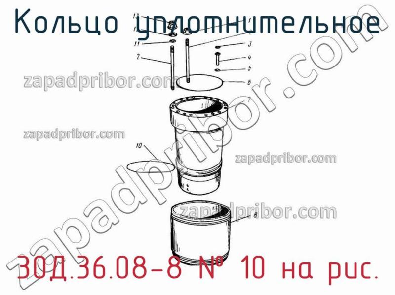Кольцо уплотнительное 30Д.36.08-8 фотография.