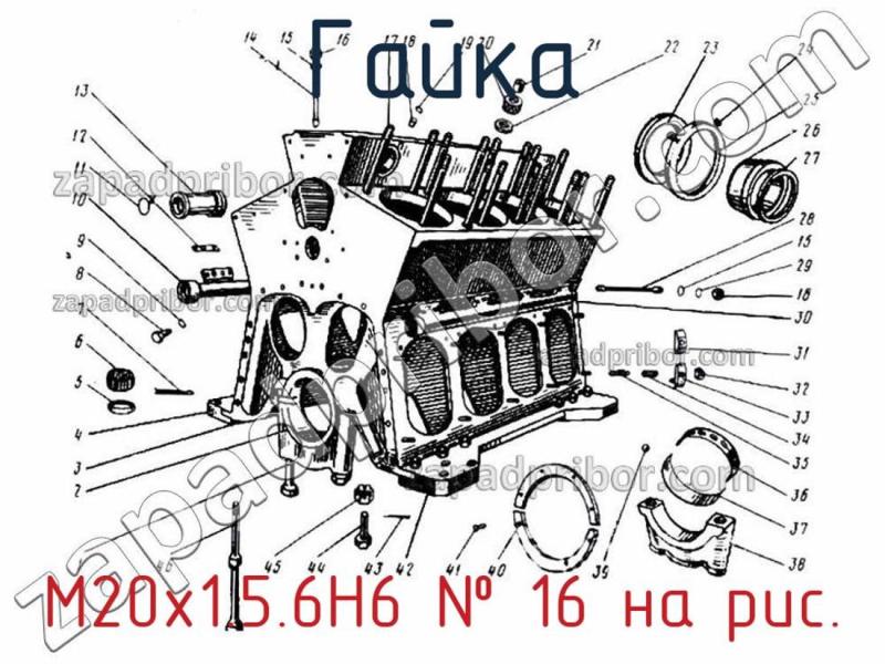 Гайка М20х1.5.6Н6 фотография.