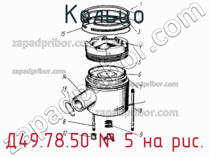 Кольцо Д49.78.50 фотография.