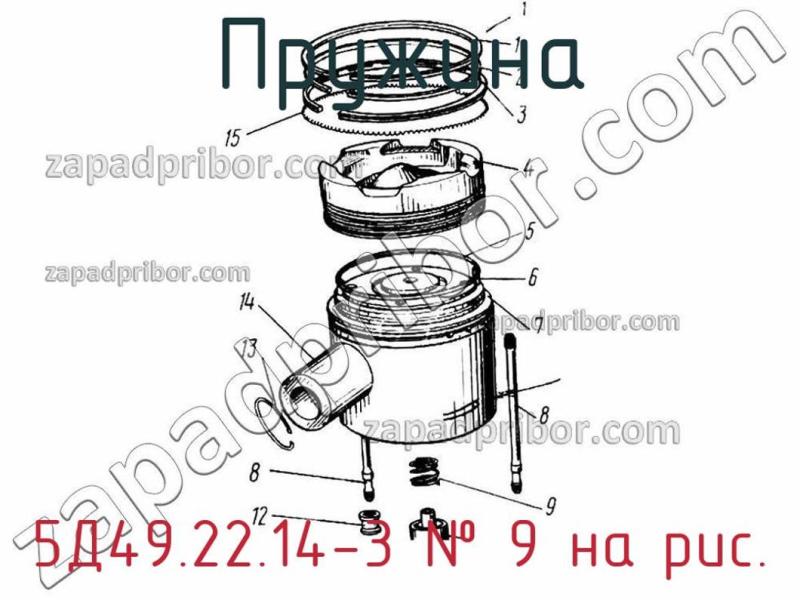 Пружина 5Д49.22.14-3 фотография.