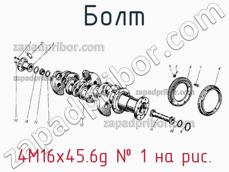 Болт 4М16х45.6g фотография.