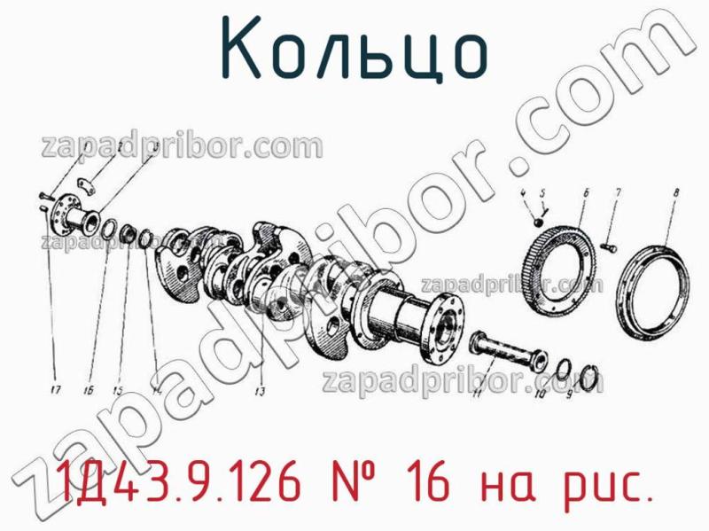 Кольцо 1Д43.9.126 фотография.