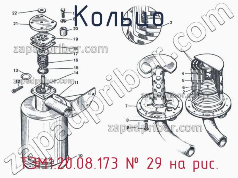Кольцо ТЭМ1.20.08.173 фотография.