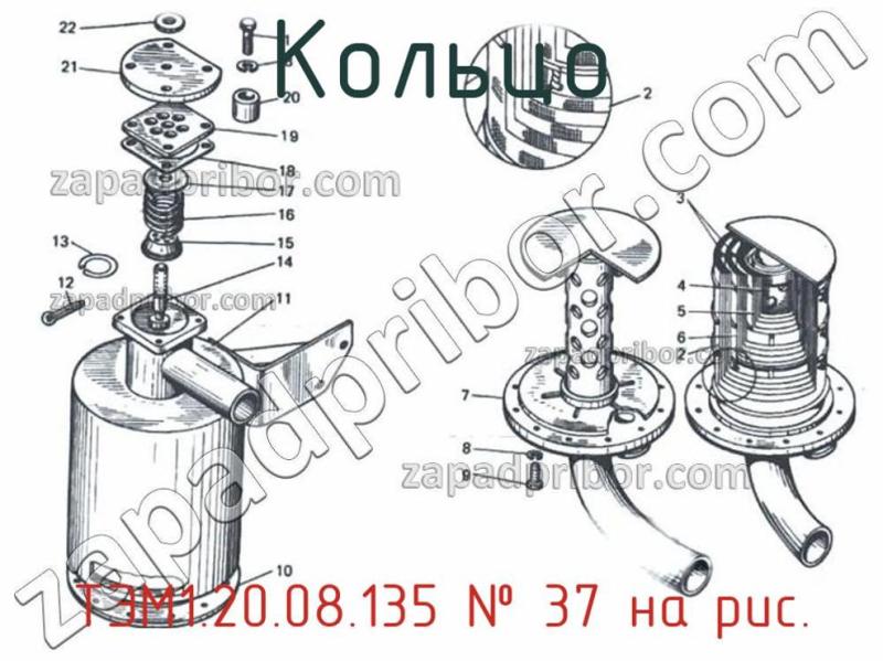 Кольцо ТЭМ1.20.08.135 фотография.