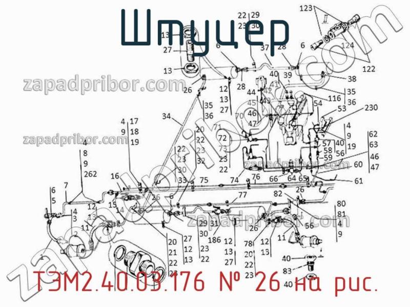 Штуцер ТЭМ2.40.03.176 фотография.
